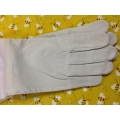 Goatskin Gloves 